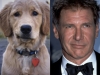 Harrison Ford