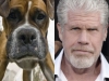 Ron Perlman