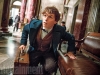 Newt Scamander | Eddie Redmayne