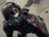 Ant-Man