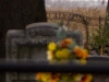 un altro scorcio del cimitero