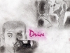 contest-drive-misslovett