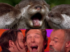 Lontre Vs. Benedict Cumberbatch, Johnny Deep e Graham Norton