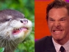 Lontra Vs. Benedict Cumberbatch (1)