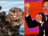 Lontra Vs. Benedict Cumberbatch (3)