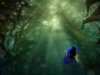 Finding Dory