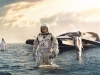 1. Interstellar (26%)