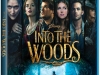 into the woods