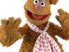 Fozzie-Bear