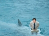 I sogni segreti di Walter Mitty