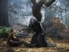 Into The Woods (Meryl Streep)