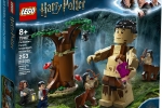 Harry-Potter-LEGO-la-foresta-proibita-l-incontro-della-umbridge-75967-01