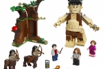 Harry-Potter-LEGO-la-foresta-proibita-l-incontro-della-umbridge-75967-03