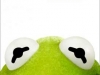 Muppets-kermit-face