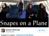 Snakes on a plane (Tanti Piton su un aereo)