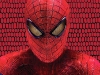 Amazing Spider-Man