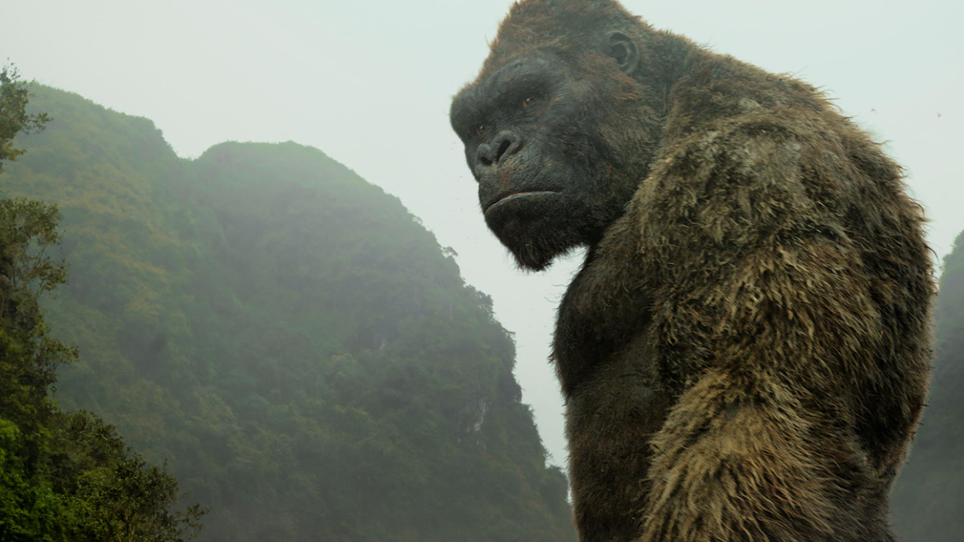 Il re è tornato. King Kong è veramente imponente in Kong: Skull Island