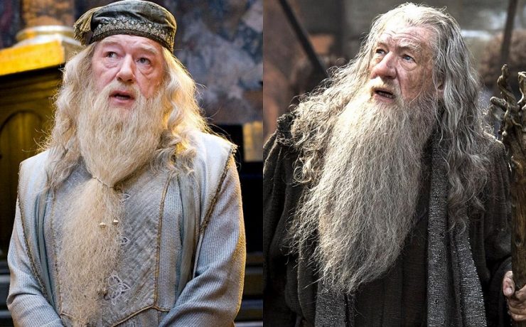 Silente (Harry Potter) e Gandalf (Il Signore degli anelli)