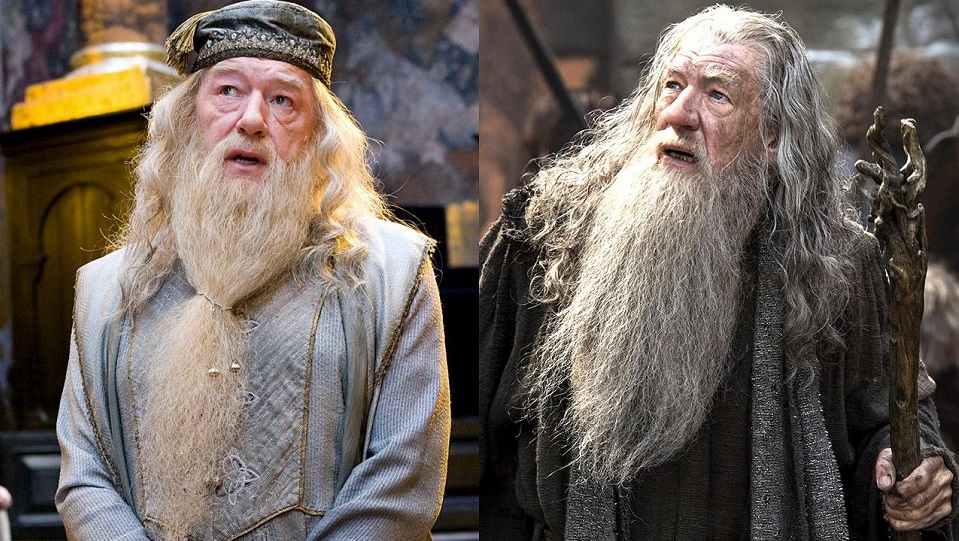 Silente (Harry Potter) e Gandalf (Il Signore degli anelli)