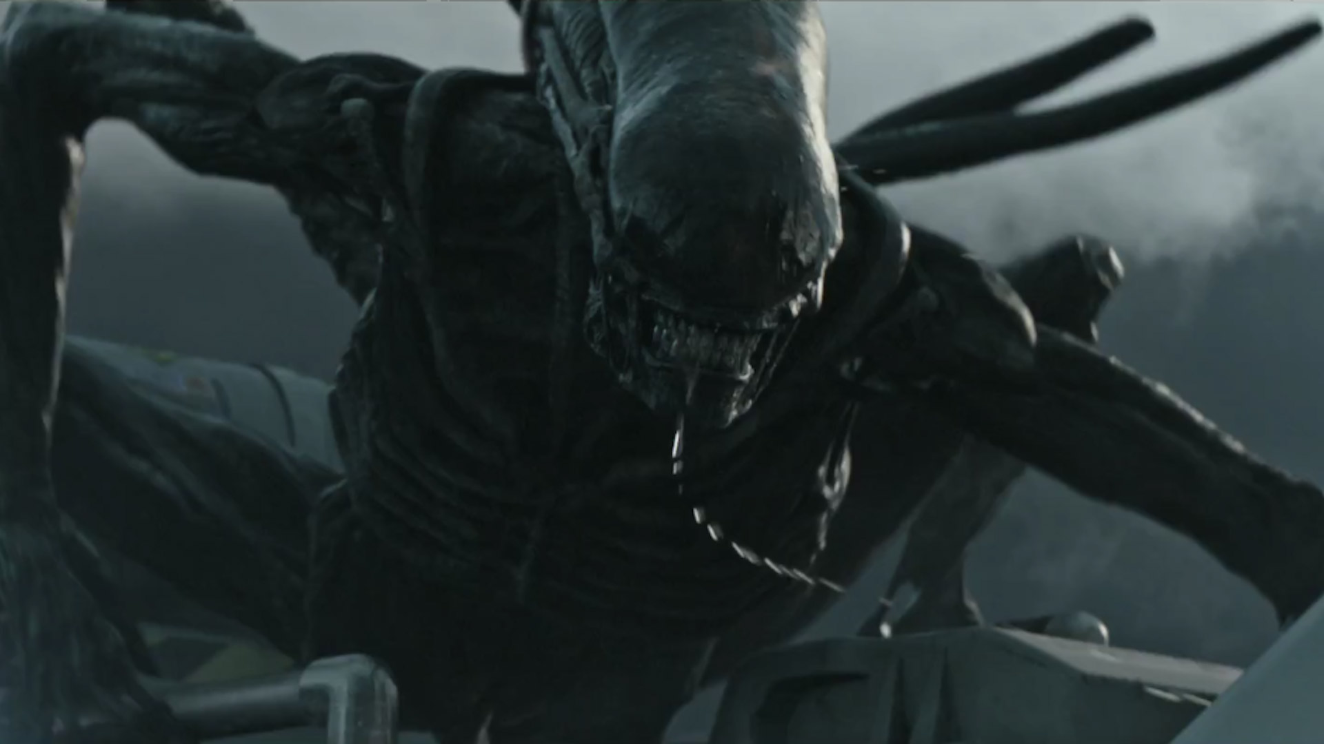 Alien: Covenant, lo xenomorfo