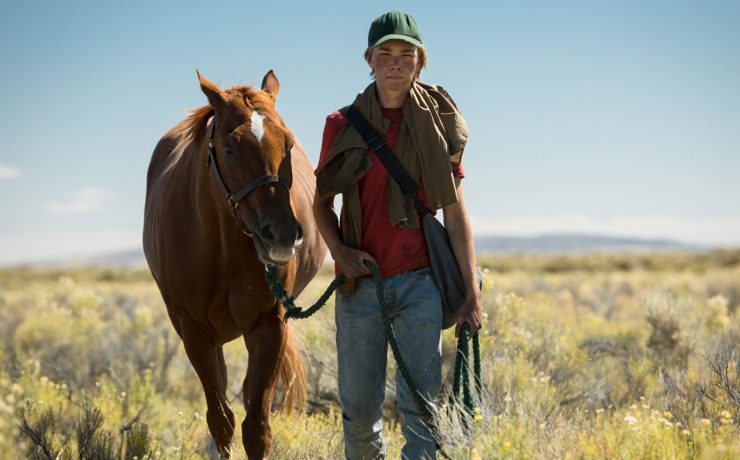 Lean on Pete a Venezia 74: ecco Charlie Plummer e il cavallo