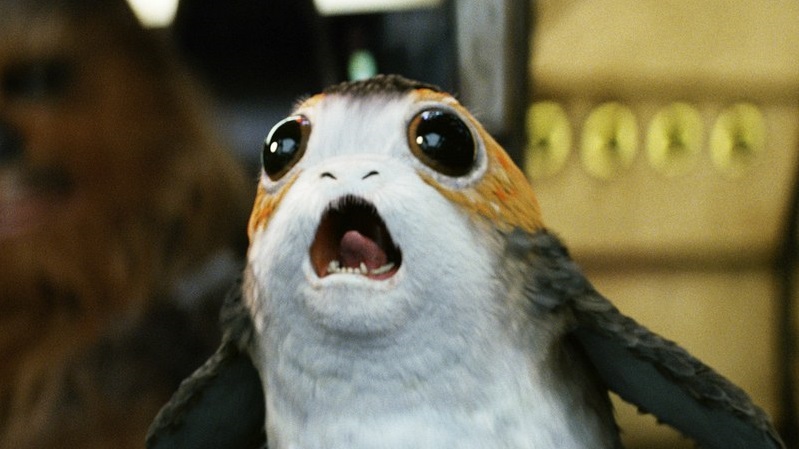 I Porgs di Star Wars: Gli ultimi Jedi