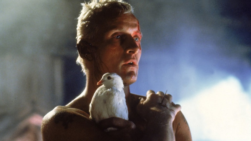 Rutger Hauer in Blade Runner