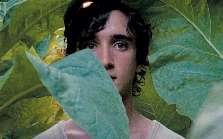 Lazzaro felice di Alice Rohrwacher: la recensione