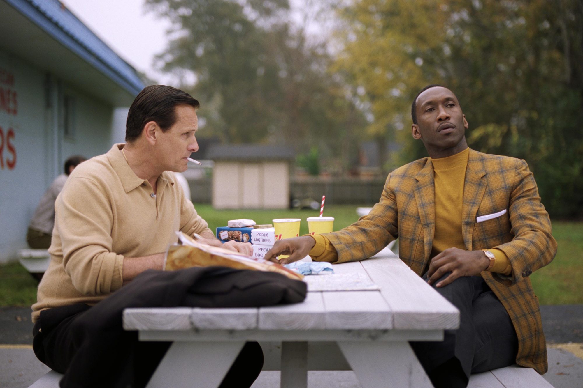 Green Book, polemiche