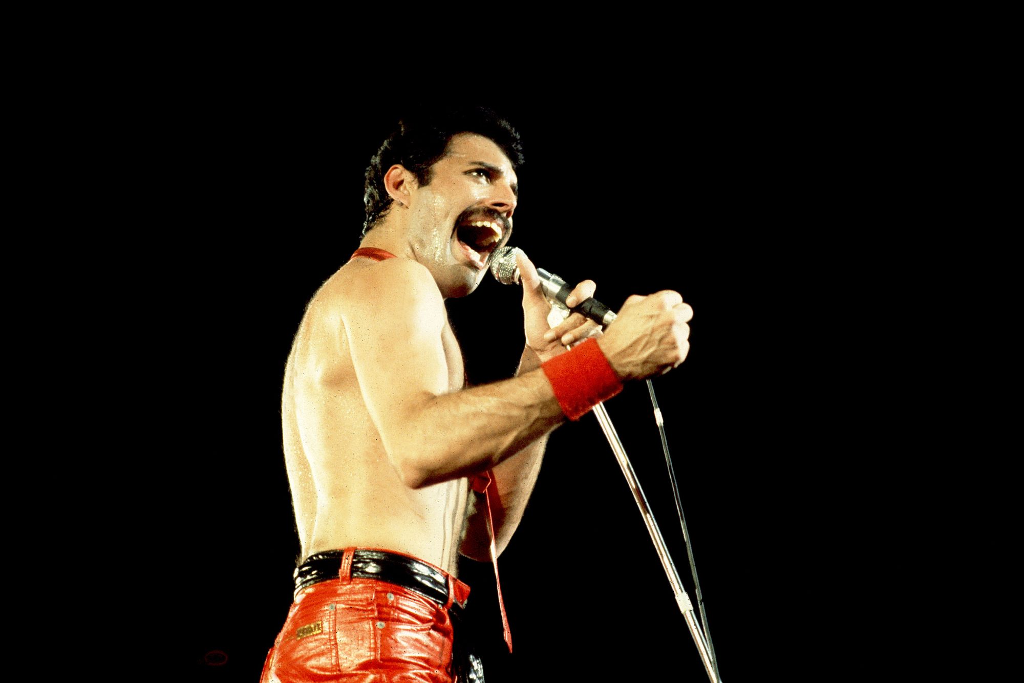 Freddie Mercury solista