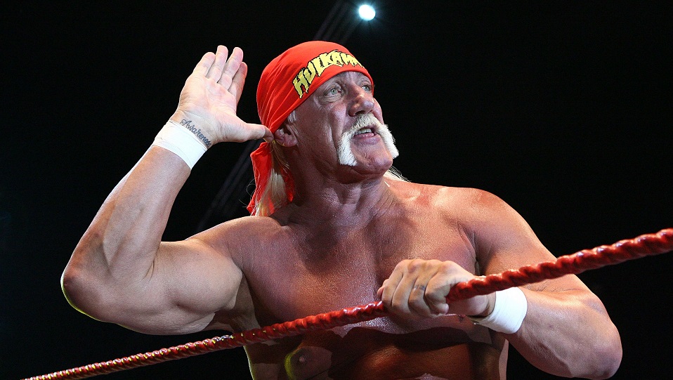 Hulk Hogan / Marvel