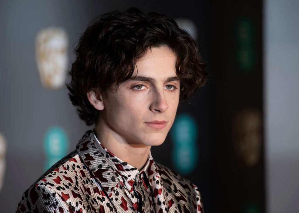 Timothée Chalamet film