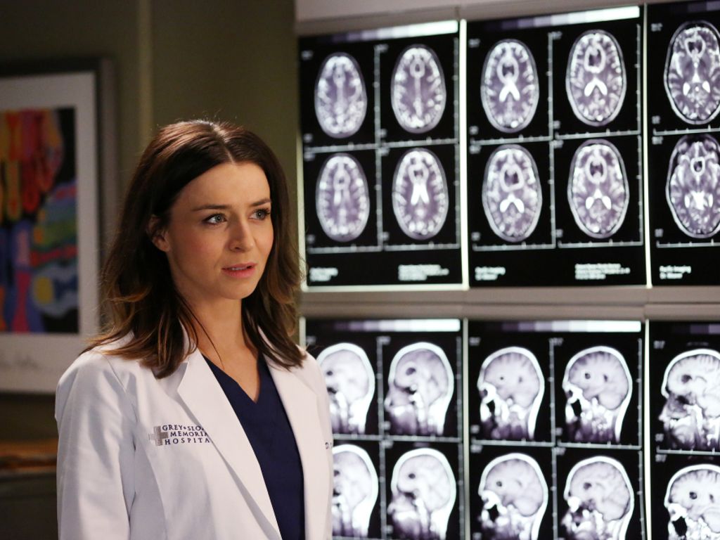 grey's anatomy undicesima stagione