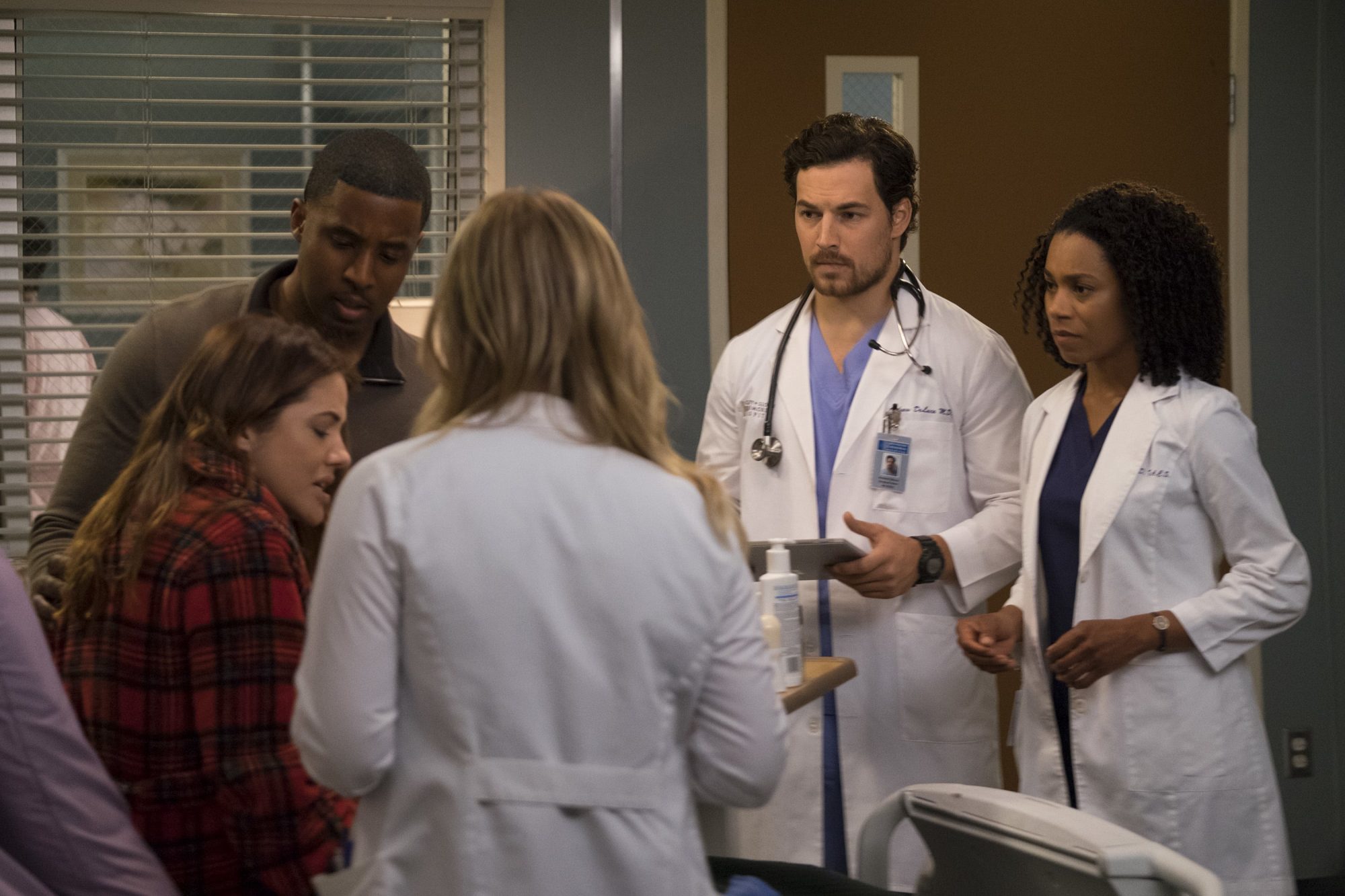 grey's anatomy quattordicesima stagione