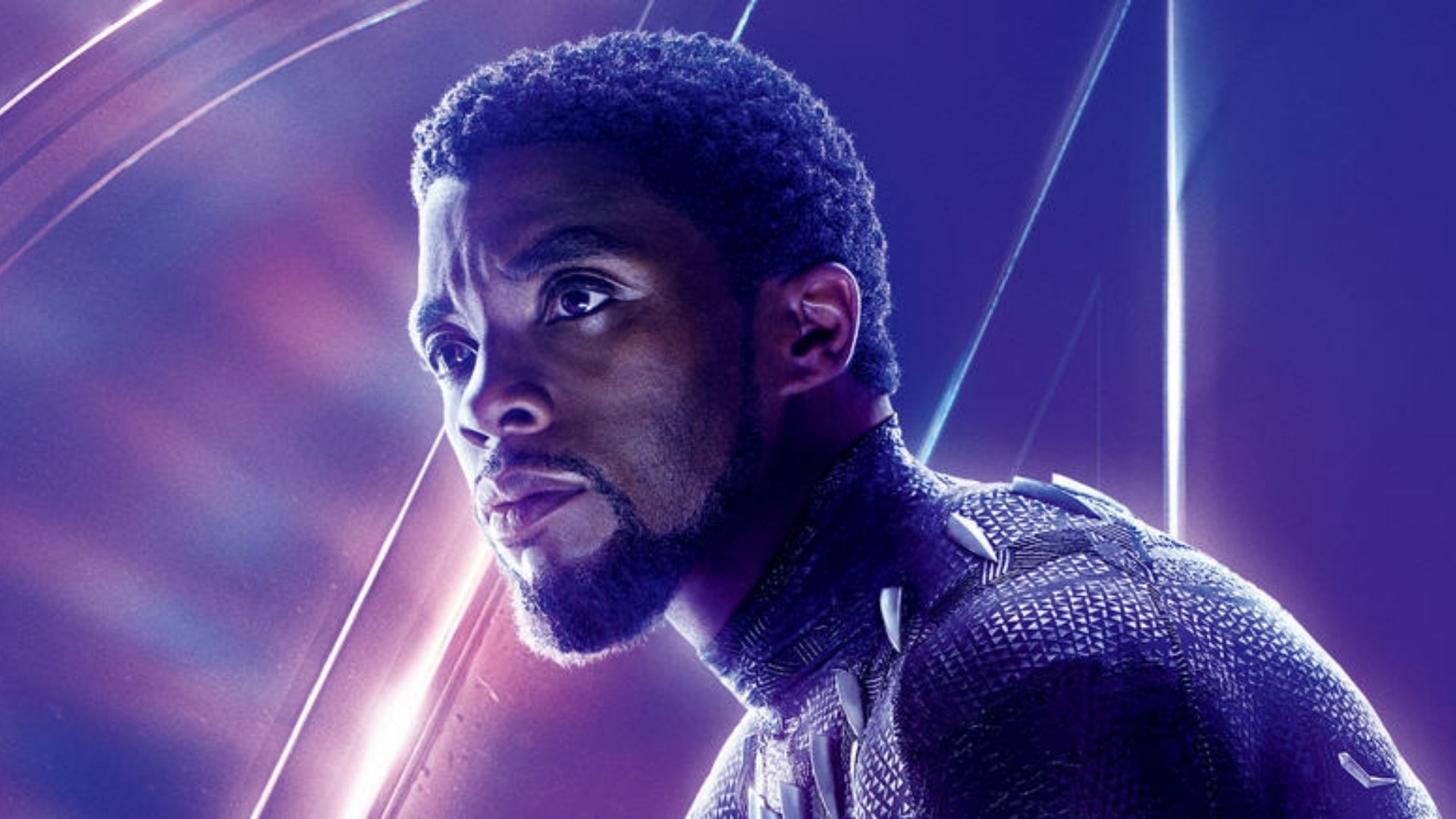 falcon and the winter soldier cameo chadwick boseman