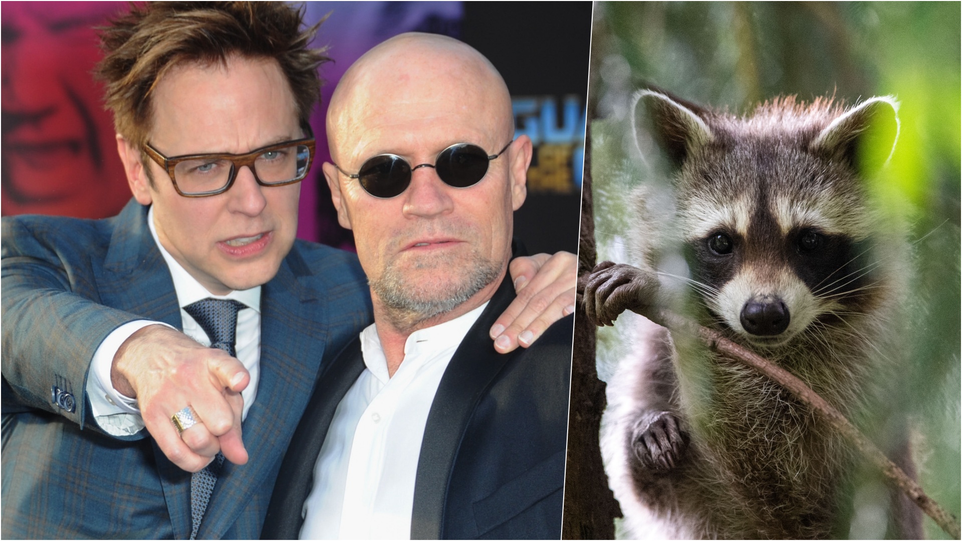 james gunn procione twitter