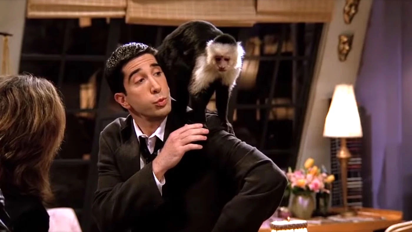 Friends David Schwimmer scimmia Marcel