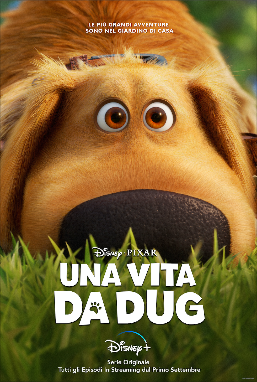 Una vita da Dug