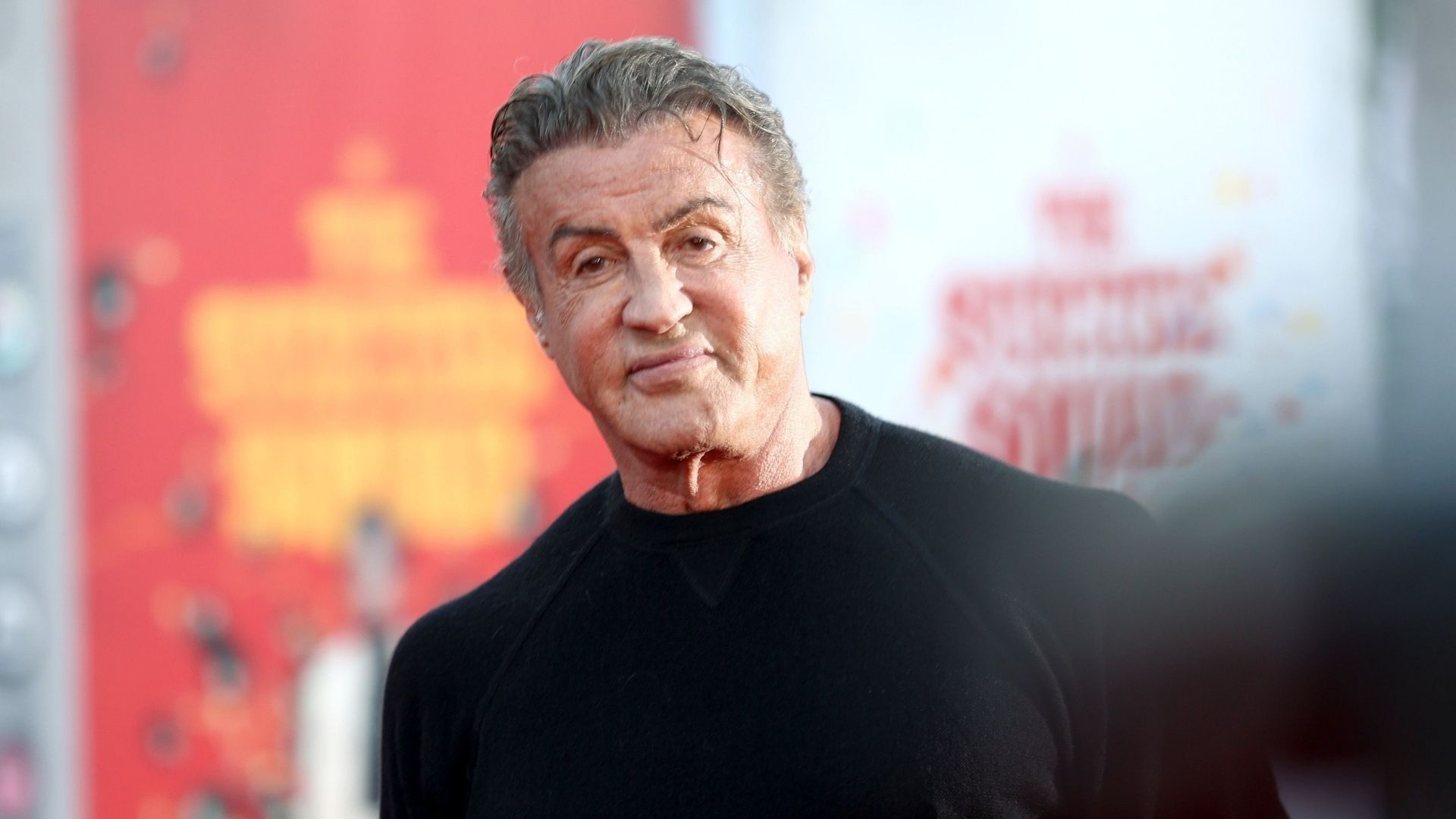 sylvester stallone