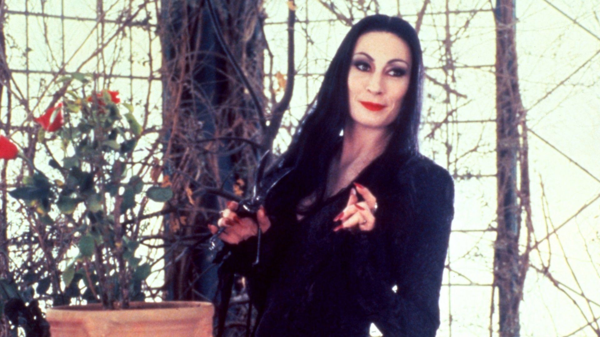 wednesday morticia addams