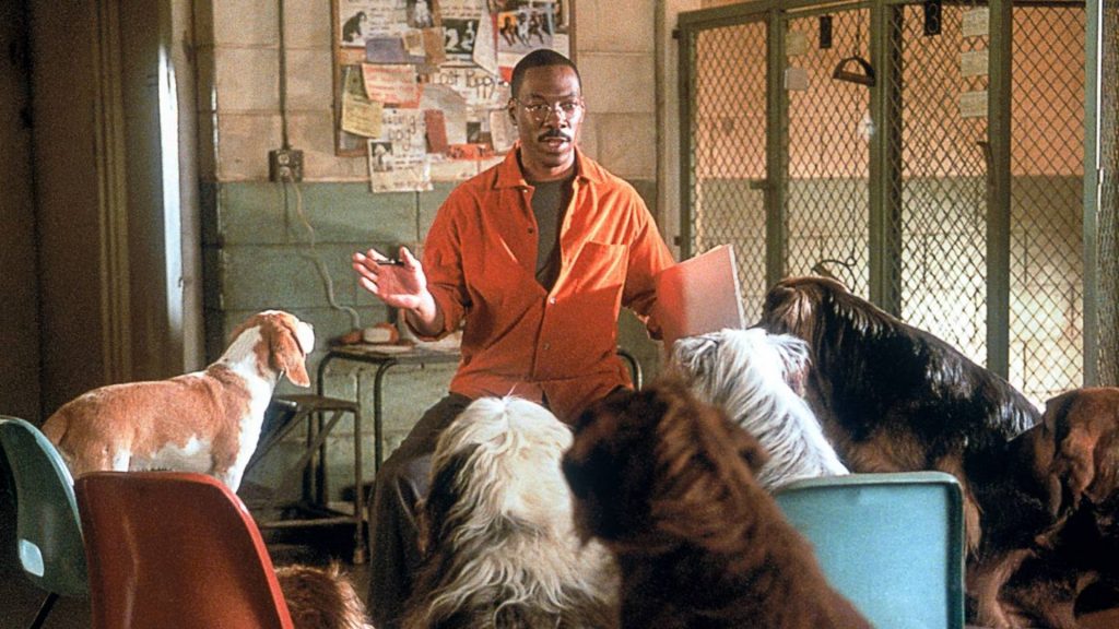 10 scene attori rifiutati eddie murphy