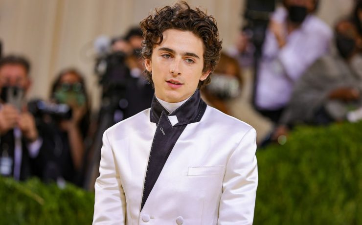 Timothée Chalamet Marvel