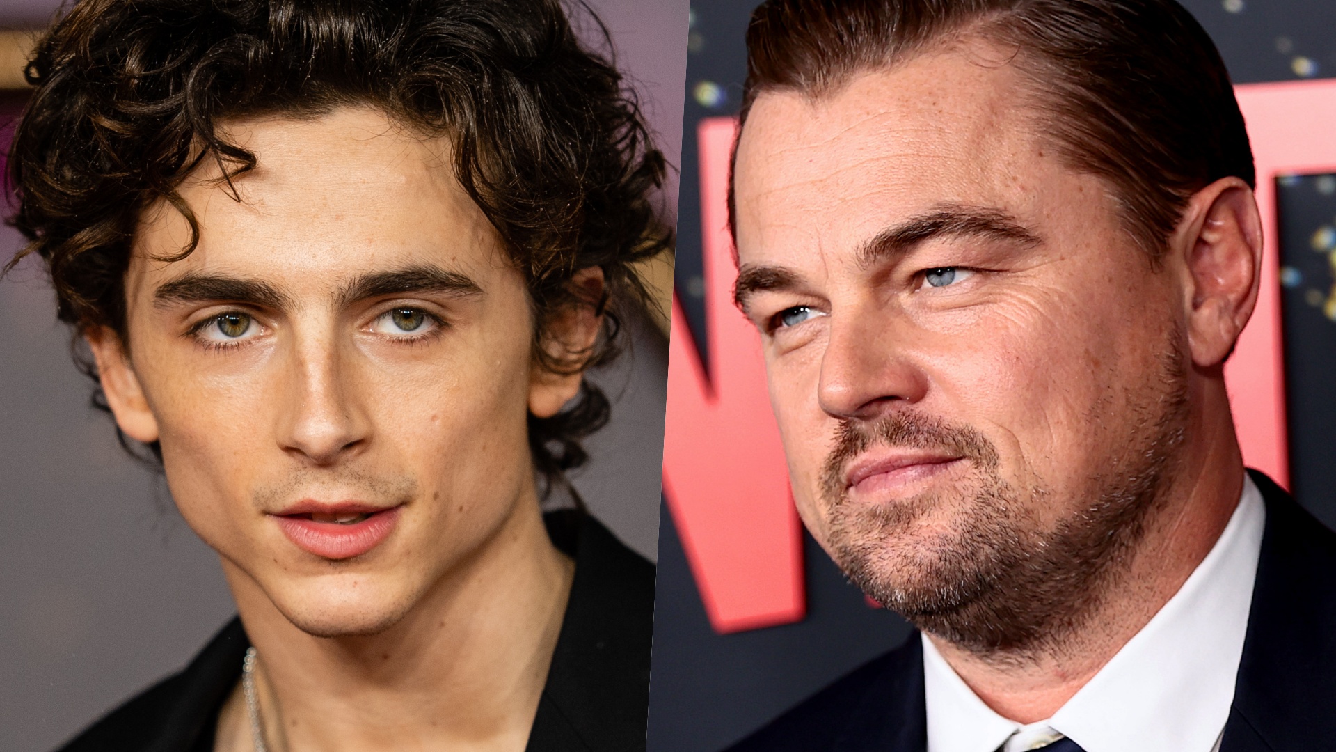 leonardo di caprio e Timothée Chalamet