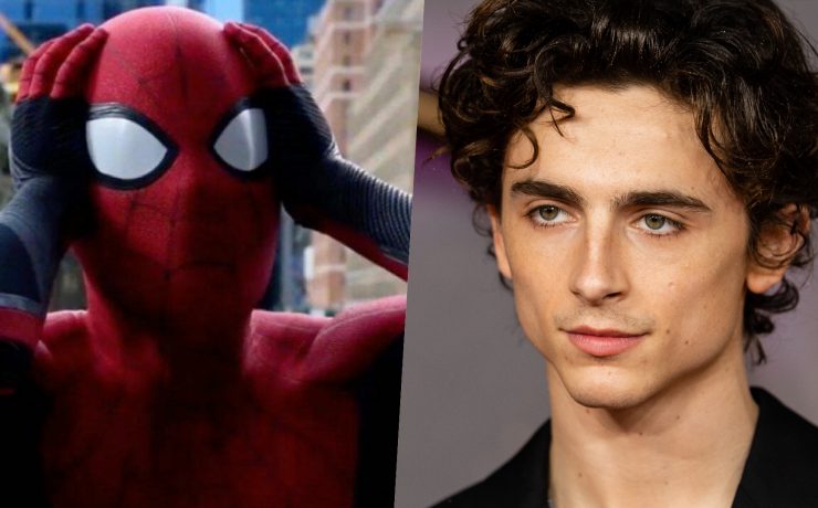 spider-man Timothée Chalamet