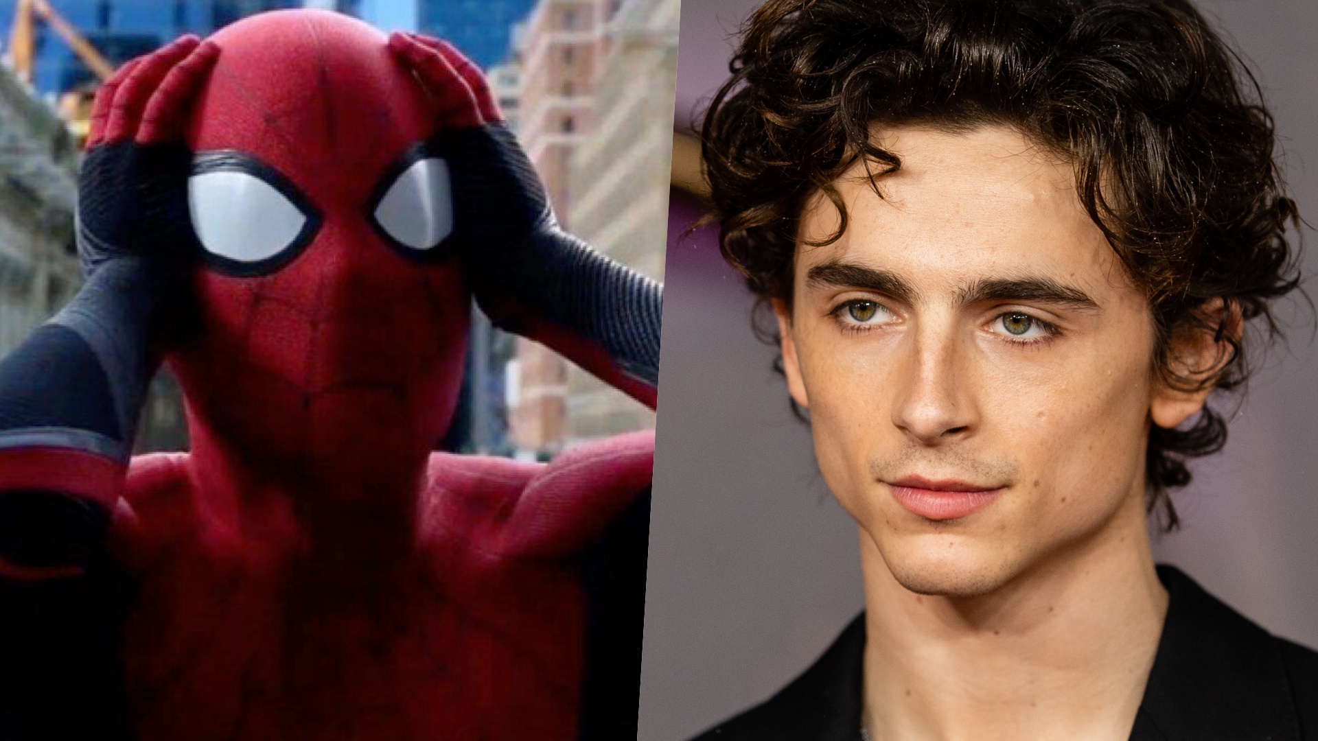 spider-man Timothée Chalamet