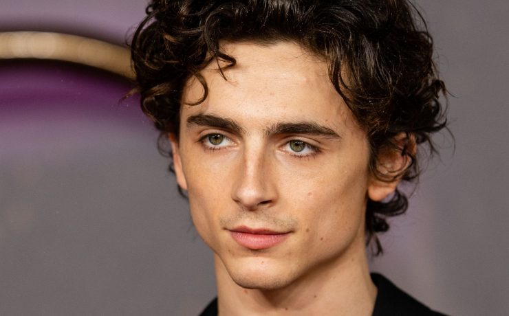 Timothée Chalamet sosia