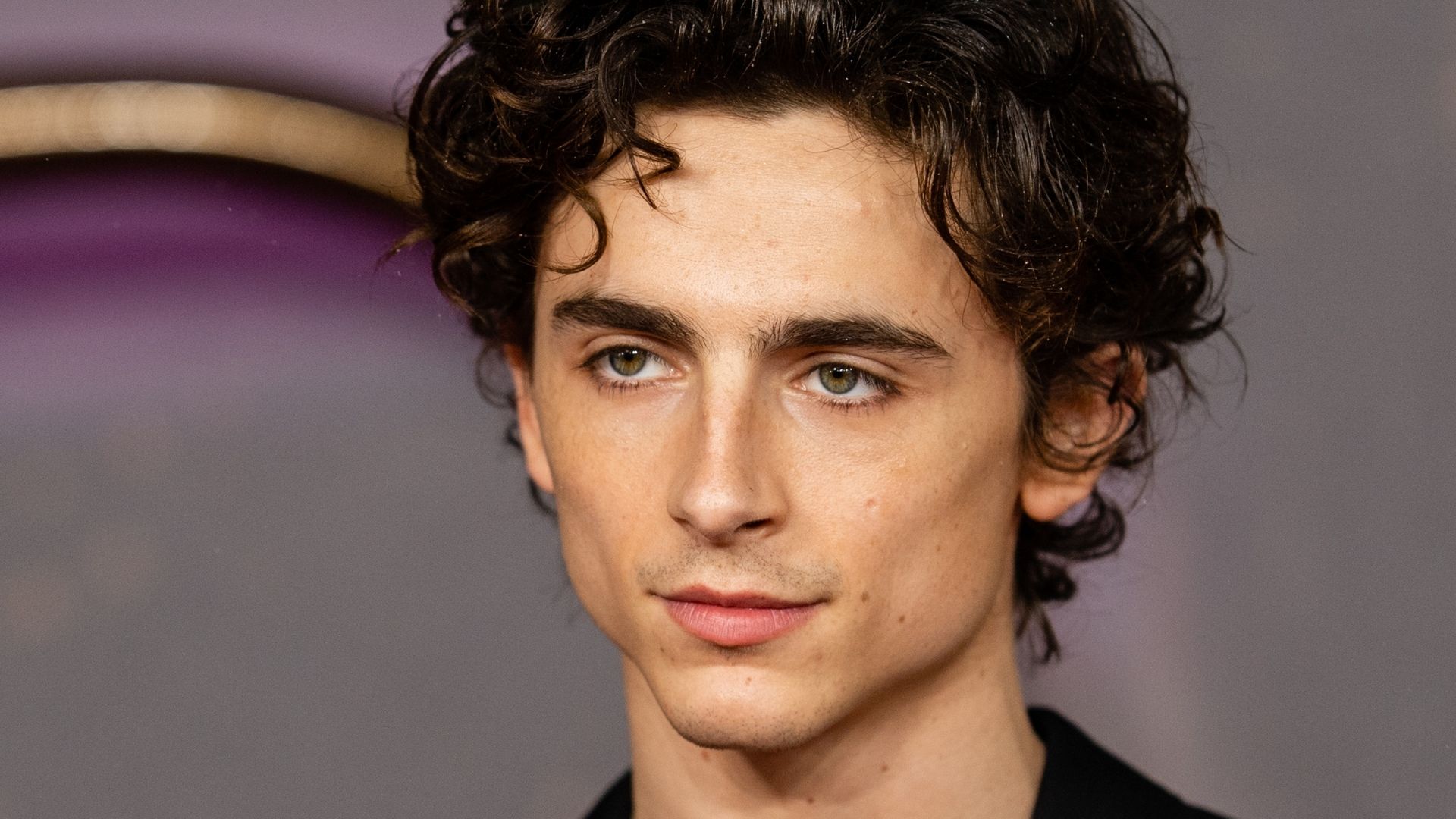 Timothée Chalamet sosia