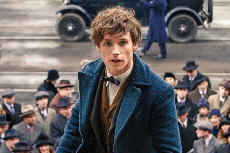 Animali-fantastici_Eddie Redmayne