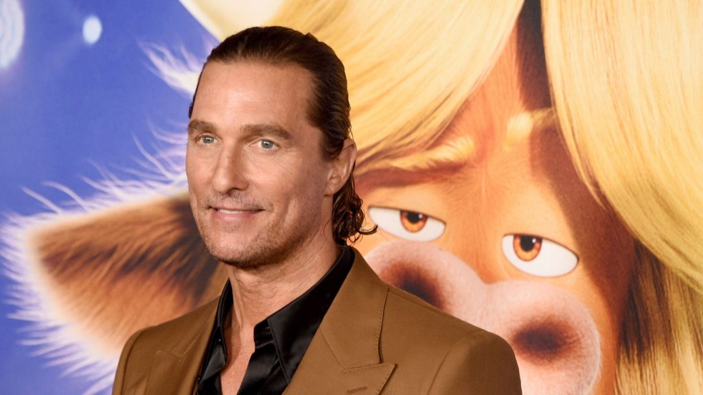 Carriera Matthew McConaughey