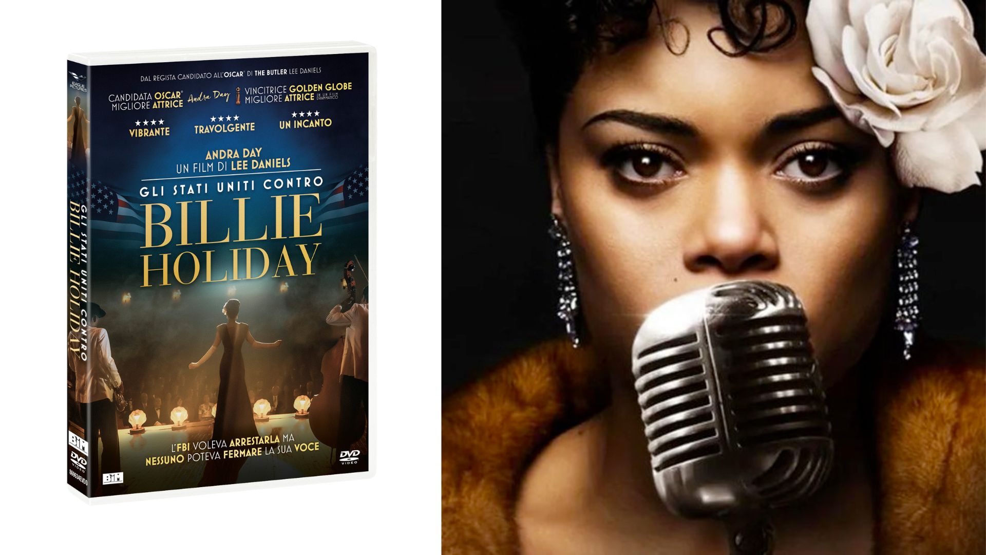 gli stati uniti vs billie holiday